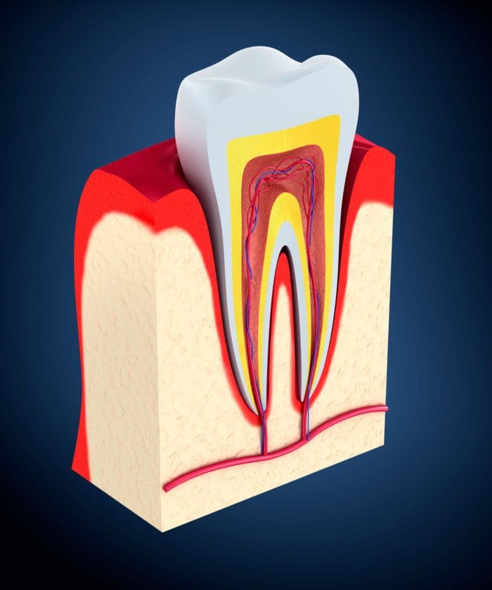 how to improve your gum health Manassas va