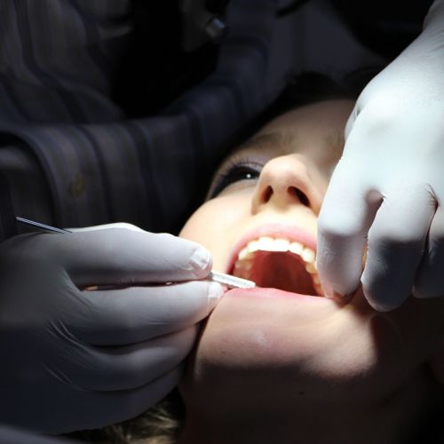 new patient offer | dental patient during dental cleaning