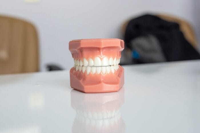 teeth