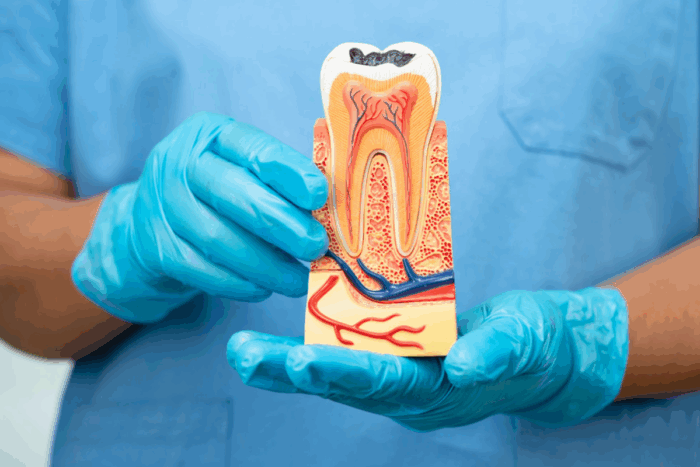 How Root Canal Therapy Can Save Your Natural Tooth